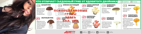 бошки Нязепетровск