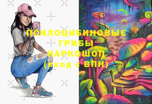 бошки Нязепетровск