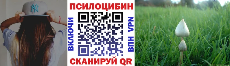 площадка Telegram  Электрогорск  Галлюциногенные грибы MAGIC MUSHROOMS  купить наркотик 