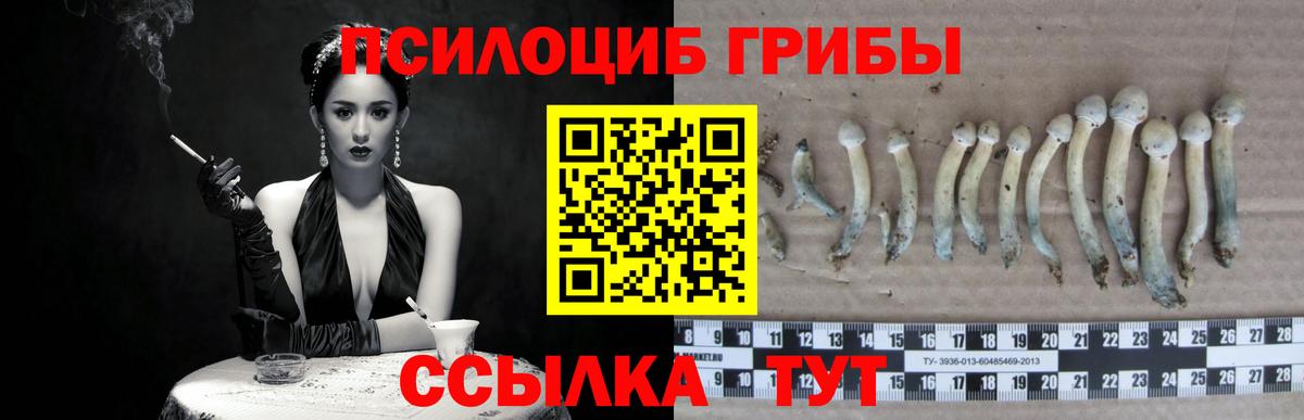 Галлюциногенные грибы Cubensis Электрогорск
