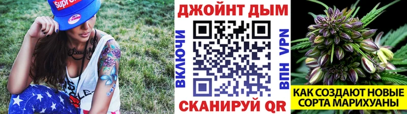 купить наркоту  Электрогорск  МАРИХУАНА White Widow 